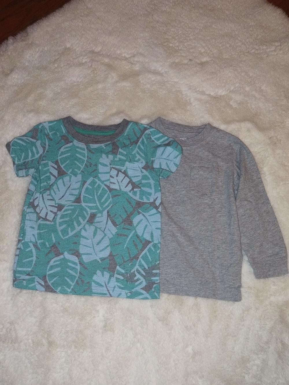 Carter's Teal Leaf Short-Sleeve Tee with Gray Long-Sleeve Layer